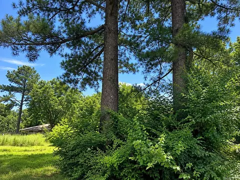 200 Clark St, Bald Knob, AR 72010 photo 4
