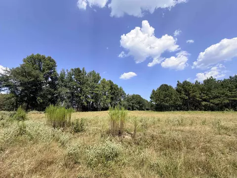 Little River 144, Ashdown, AR 71822 photo 6