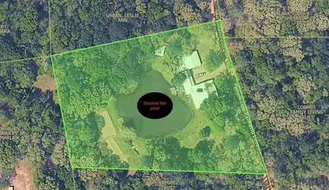 Other - 451 Palmetto Loop, Bismarck, AR 71929 photo 8 of 14