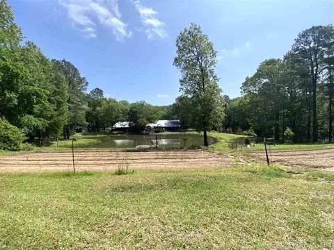 View/Area - 451 Palmetto Loop, Bismarck, AR 71929 photo 6 of 8