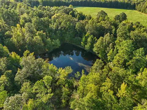 00 Highway 63 And Britt Rd, Rison, AR 71665 photo 2