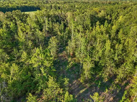 00 Highway 63 And Britt Rd, Rison, AR 71665 photo 5