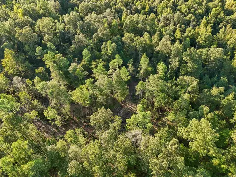 00 Highway 63 And Britt Rd, Rison, AR 71665 photo 6