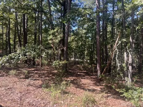 6 Zaragoza Ln, Hot Springs Village, AR 71909