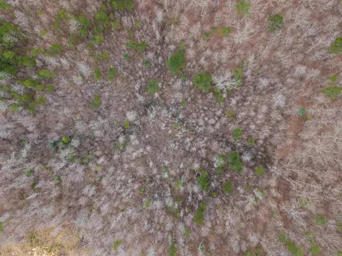 000 Reed Rd, Alexander, AR 72002 photo 5