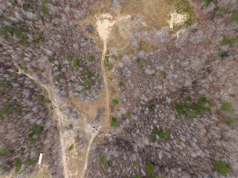 000 Reed Rd, Alexander, AR 72002 photo 6