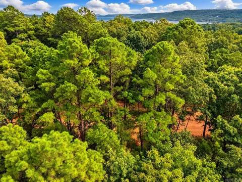 29 Jerry Ln, Quitman, AR 72131 photo 11