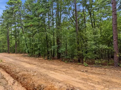 29 Jerry Ln, Quitman, AR 72131 photo 5