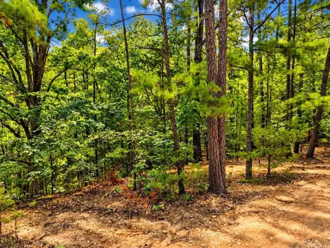 29 Jerry Ln, Quitman, AR 72131 photo 7