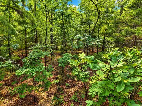 29 Jerry Ln, Quitman, AR 72131 photo 8