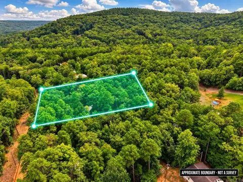 29 Jerry Ln, Quitman, AR 72131 photo 6