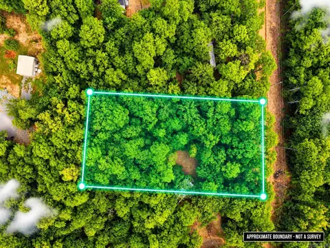 29 Jerry Ln, Quitman, AR 72131 photo 4