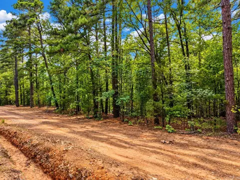 29 Jerry Ln, Quitman, AR 72131 photo 10