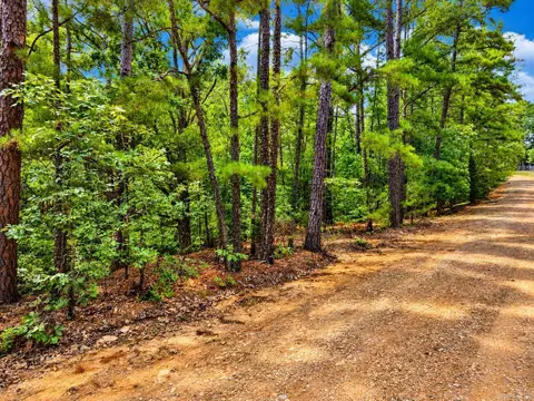 29 Jerry Ln, Quitman, AR 72131 photo 9