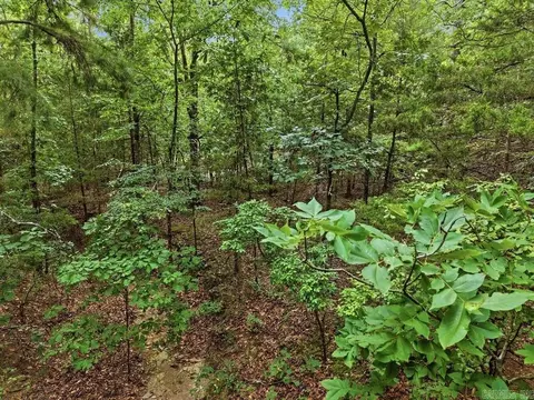 29 Jerry Ln, Quitman, AR 72131 photo 6