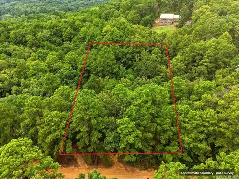 29 Jerry Ln, Quitman, AR 72131 photo 4