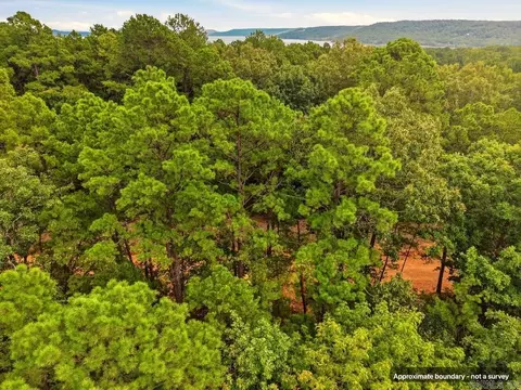 29 Jerry Ln, Quitman, AR 72131 photo 7