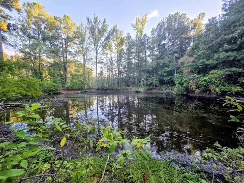 00 Hwy 63 Hwy, Rison, AR 71665 photo 4