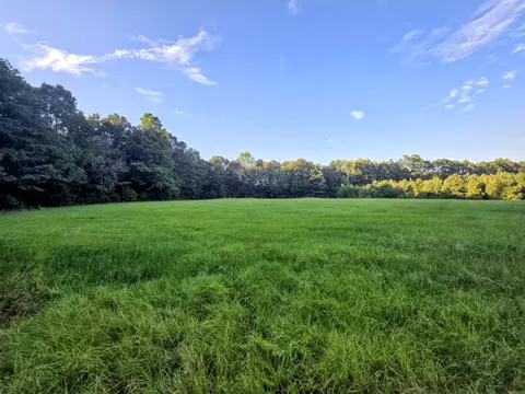 00 Hwy 63 Hwy, Rison, AR 71665 photo 5