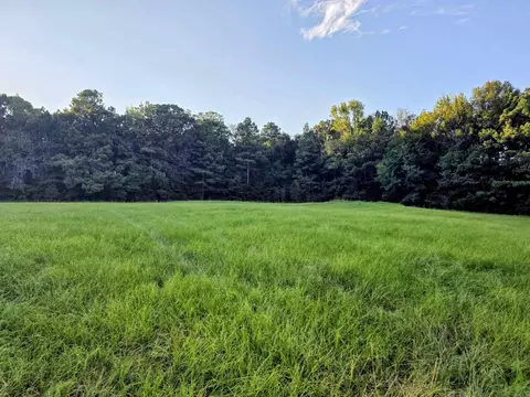 00 Hwy 63 Hwy, Rison, AR 71665 photo 3