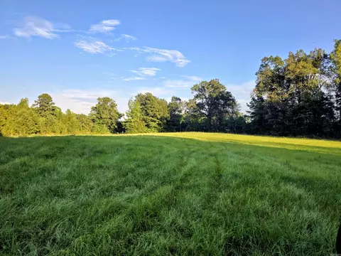 00 Hwy 63 Hwy, Rison, AR 71665 photo 6