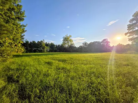 3740 Hwy 63 Hwy, Rison, AR 71665 photo 9