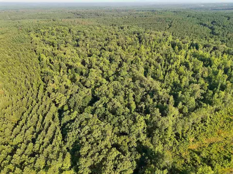 tbd Cornbridge Rd #WP001, Mineral Sprs, AR 71851