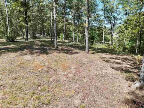 tbd Pole Thicket Road Lot #WP00, Norman, AR 71960 photo 20