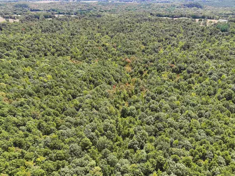 tbd Pole Thicket Road Lot #WP00, Norman, AR 71960 photo 5