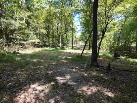 tbd Pole Thicket Road Lot #WP00, Norman, AR 71960 photo 19
