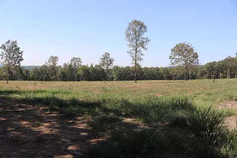 N 65 Highway, Clinton, AR 72031 photo 13
