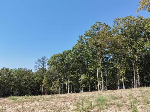 N 65 Highway, Clinton, AR 72031 photo 7