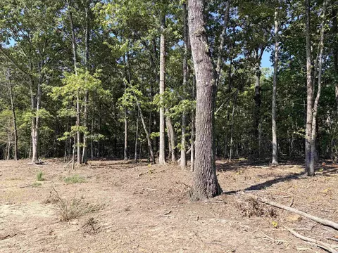 N 65 Highway, Clinton, AR 72031 photo 17