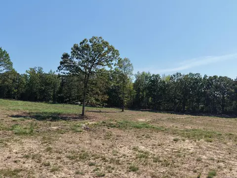 N 65 Highway, Clinton, AR 72031 photo 5
