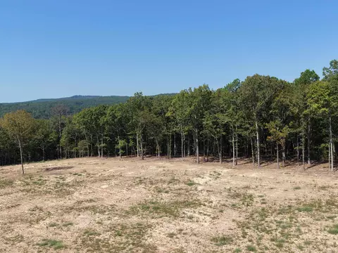 N 65 Highway, Clinton, AR 72031 photo 21