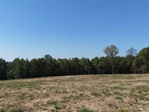 N 65 Highway, Clinton, AR 72031 photo 2