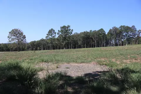N 65 Highway, Clinton, AR 72031 photo 12