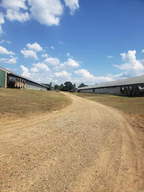 Corbell Loop Road, Lockesburg, AR 71846 photo 6