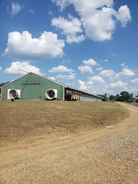Corbell Loop Road, Lockesburg, AR 71846 photo 4