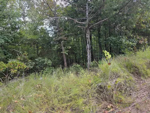 tbd Multiple Lots Hardyoa, Hardy, AR 72542 photo 23