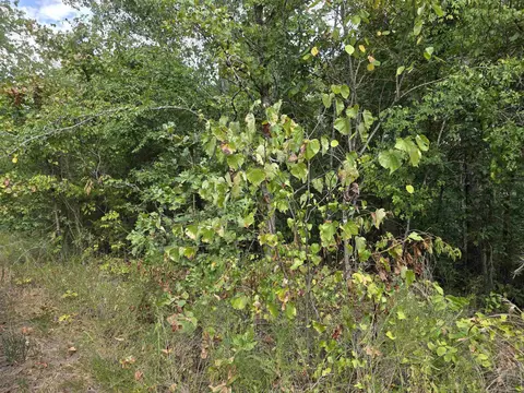 tbd Multiple Lots Hardyoa, Hardy, AR 72542 photo 25