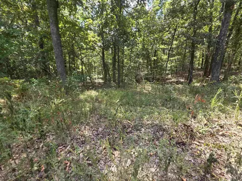 tbd Multiple Lots Hardyoa, Hardy, AR 72542 photo 8