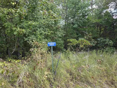 tbd Multiple Lots Hardyoa, Hardy, AR 72542 photo 22