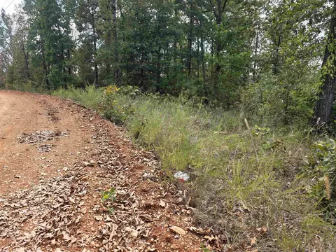 tbd Multiple Lots Hardyoa, Hardy, AR 72542 photo 19