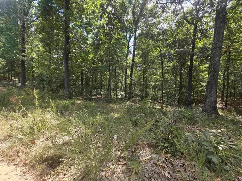 tbd Multiple Lots Hardyoa, Hardy, AR 72542 photo 9