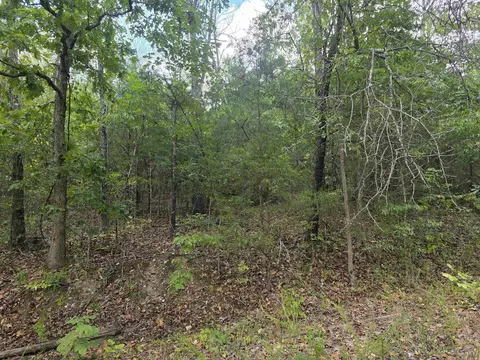 tbd Multiple Lots Hardyoa, Hardy, AR 72542 photo 12
