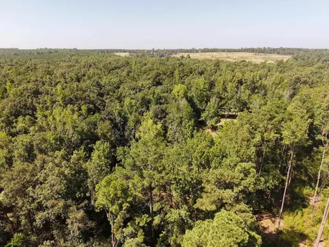 000 Hwy 93, Star City, AR 71667