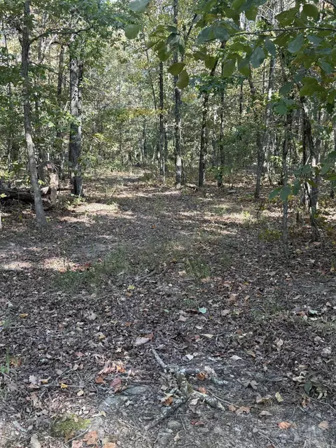 Other - 305 Deer Run Rd, Leslie, AR 72645 photo 6 of 18