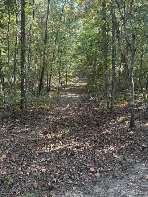 Other - 305 Deer Run Rd, Leslie, AR 72645 photo 7 of 18