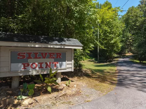 Other - 93 Silver Point Dr, Mount Ida, AR 71957 photo 1 of 7